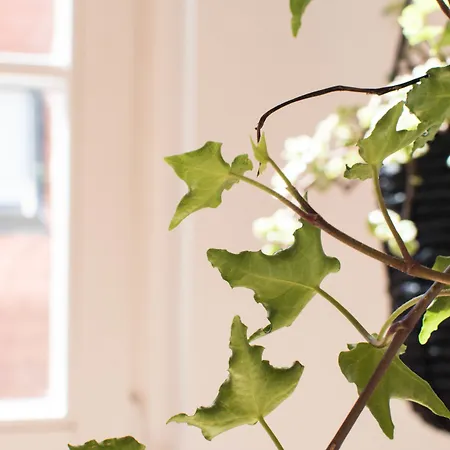 Appartement Modern Design Im Klassischem Altbau *