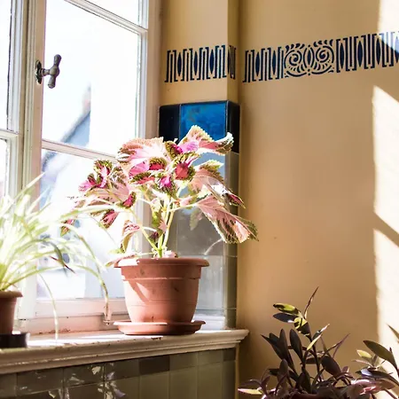 Modern Design Im Klassischem Altbau Weimar (Thuringia)