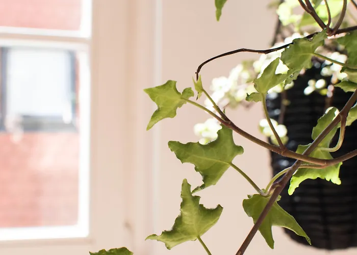 Appartement Modern Design Im Klassischem Altbau *