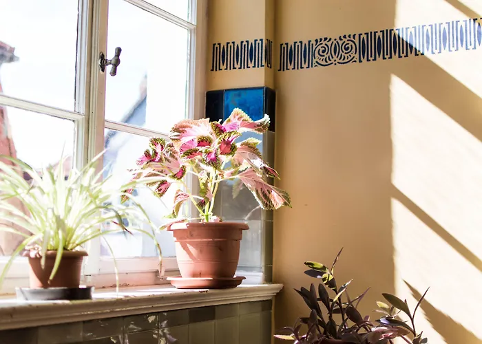 Appartement Modern Design Im Klassischem Altbau *