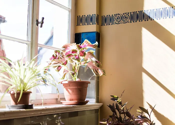 Modern Design Im Klassischem Altbau Weimar (Thuringia)